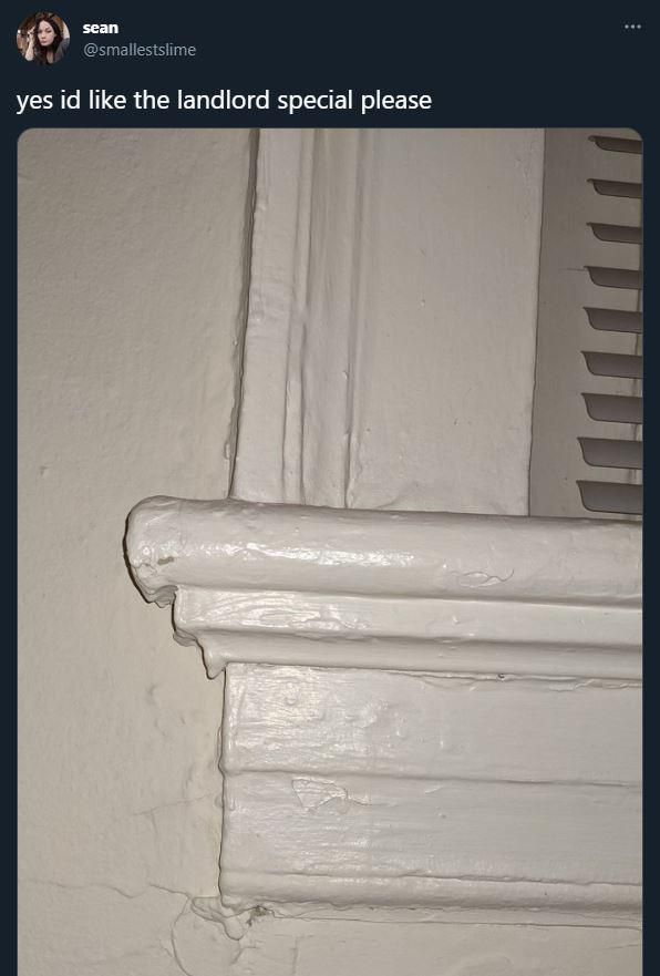 Describe this image